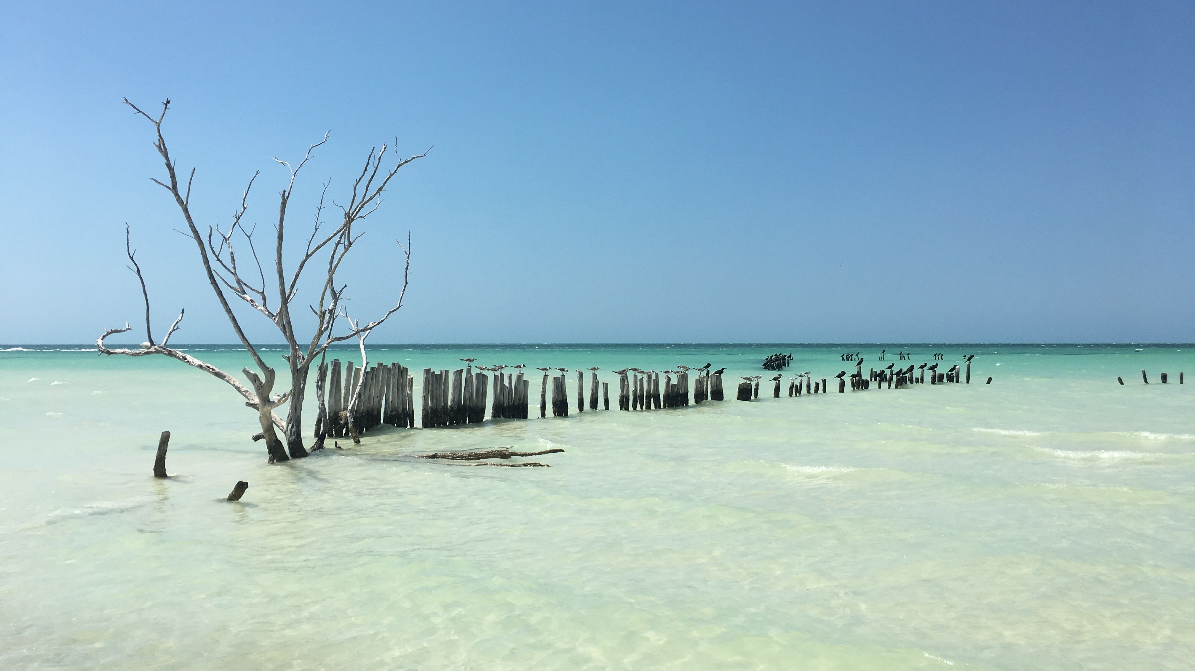 HOLBOX BUCKET LIST