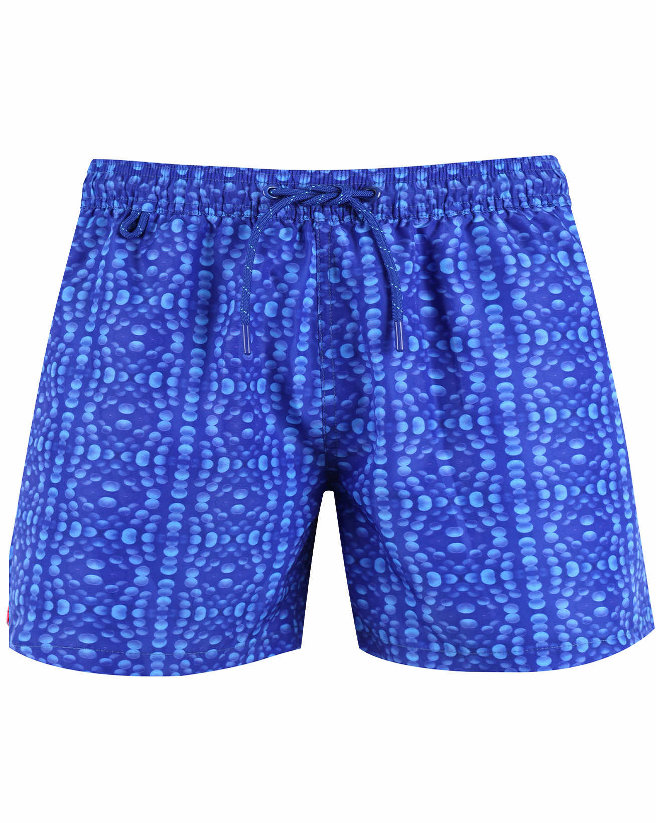 UPOLU REEF Swim Shorts - CRASQI