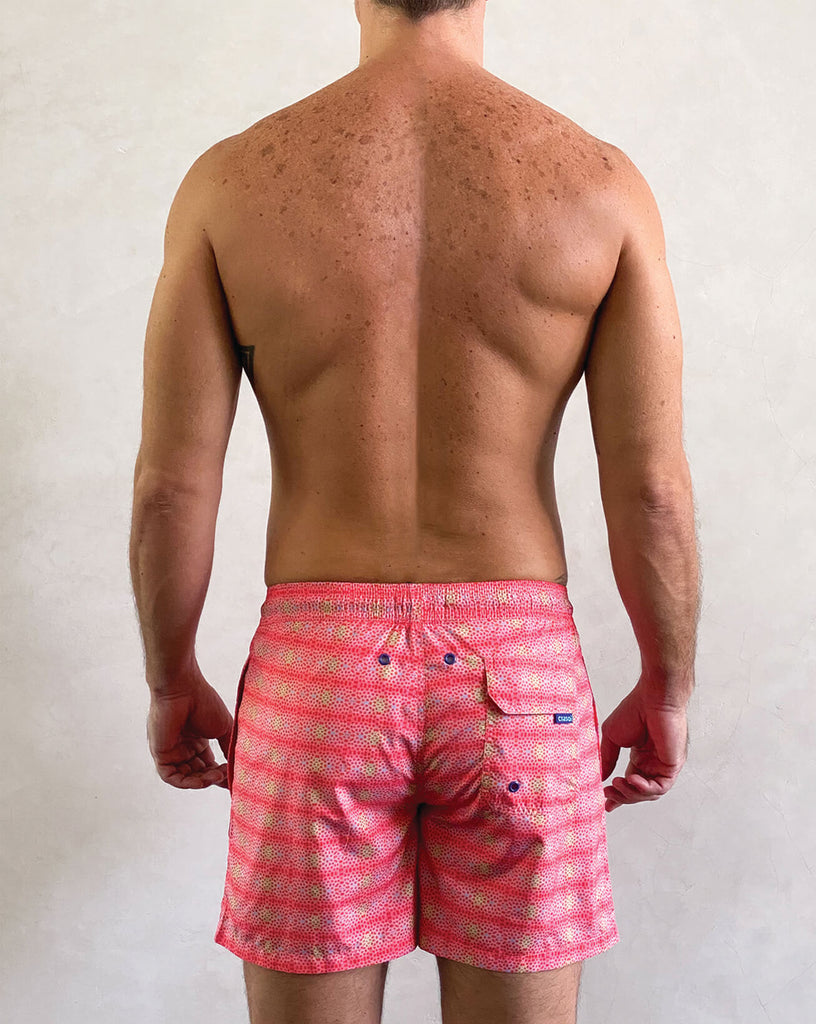ST. LUCIA  Swims Shorts - CRASQI